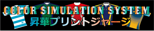 �J���[�V���~���[�V����